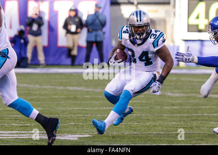 Le Meadowlands, NJ, USA. Dec 21, 2015. NJ, Panthers Cameron running back # 34 Artis-Payne trouve un trou dans la ligne défensive de la NFL dans un match contre les Giants de New York le 21 décembre 2015, au stade Metlife à Meadowlands, NJ. Les Panthère défait les géants 38-35. Margaret Bowles/CSM/Alamy Live News Banque D'Images