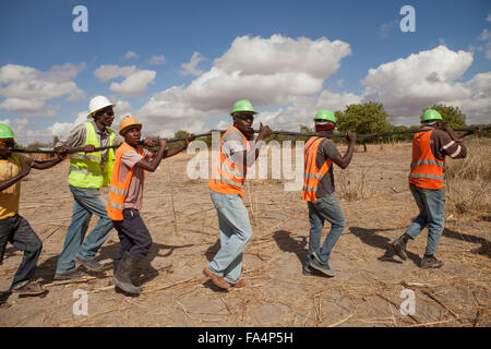 Chaîne de travailleurs nouveaux câbles d'alimentation dans un village rural près de Dodoma, Tanzanie, Afrique de l'Est. Banque D'Images