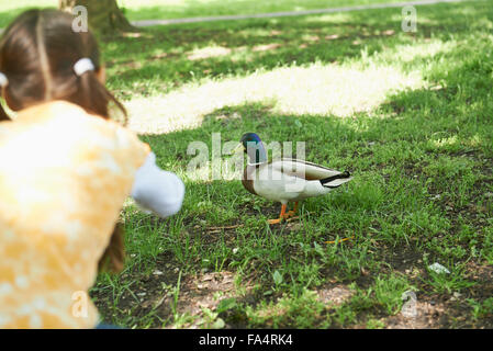 Vue arrière d'une jeune fille en canard alimentation Park, Munich, Bavière, Allemagne Banque D'Images