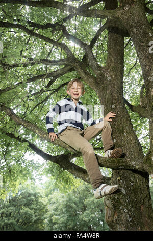 Garçon d'escalade sur arbre et souriant, Munich, Bavière, Allemagne Banque D'Images