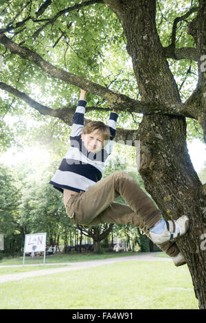 Garçon d'escalade sur arbre et souriant, Munich, Bavière, Allemagne Banque D'Images