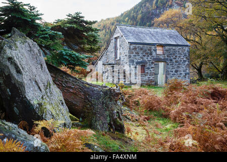 Ancienne ferme traditionnelle à Gwydyr Forest Park dans le parc national de Snowdonia (Eryri) en automne. Le Nord du Pays de Galles Conwy UK Grande-Bretagne Banque D'Images