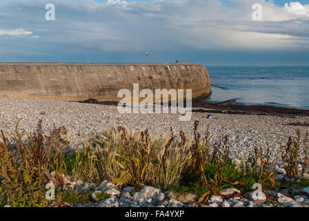 Une vue vers le mur du port de Cobb à Lyme Regis, dans le Dorset, Angleterre, Royaume-Uni Banque D'Images