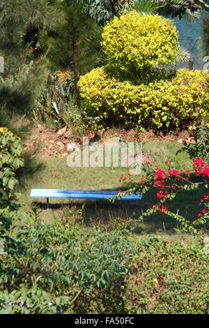 Une petite et simple bleu banc assis dans un jardin entouré de plantes Banque D'Images