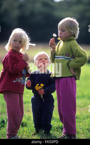 Des enfants jouent, 3 enfants la collecte de fleurs sauvages. Le frère et les deux sœurs. Banque D'Images