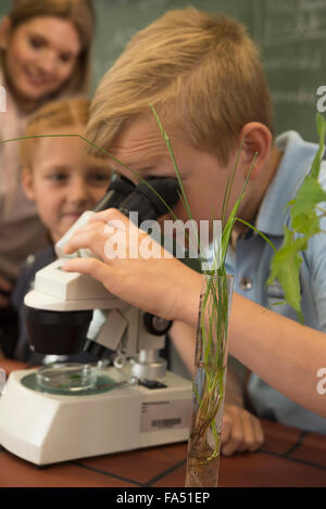 Écolier regardant au microscope, Fürstenfeldbruck, Bavière, Allemagne Banque D'Images