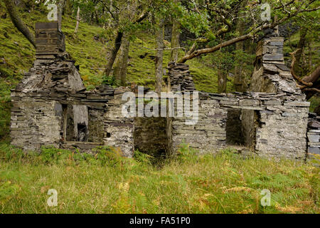 Les mineurs abandonnés un chalet sur l'abaissement des terrasses boisées Dinorwic, ardoise, Llanberis, Gwynedd, au nord du Pays de Galles, Royaume-Uni Banque D'Images