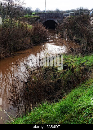 Un pont sur la rivière boueuse enflées Frome, à côté de Bromyard, une ville dans le Herefordshire, Angleterre Banque D'Images