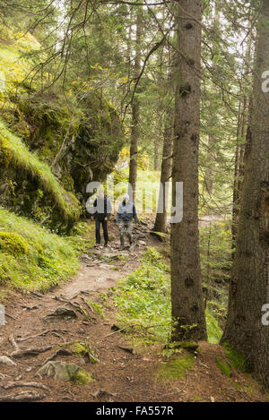Deux Randonneurs marchant dans la forêt, Alpes autrichiennes, Carinthie, Autriche Banque D'Images