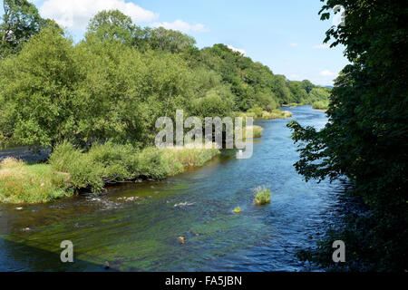 La rivière Wye près de Hay on Wye, Powys, Pays de Galles. Banque D'Images