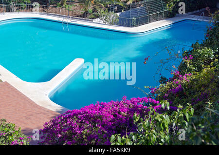 Piscine en forme étrangement tropical avec une clôture de journée ensoleillée et fleurie de bougainvilliers Banque D'Images