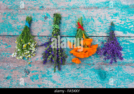 Bouquets d'herbes médicales pendu le mur bleu rustique pour sécher Banque D'Images