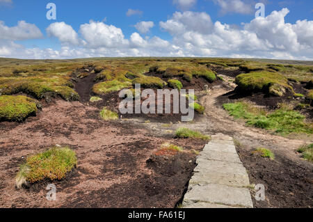 Sentier pavé dans les landes du Bleaklow dans l'High Peak, Derbyshire, Angleterre. Banque D'Images