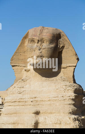 Le Sphinx, les pyramides de Gizeh, Giza, Egypte Banque D'Images