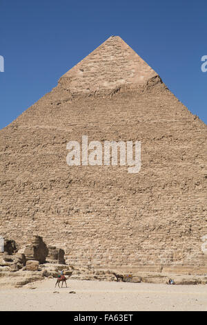 L'homme local sur Camel en face de la pyramide de Khéphren, Les Pyramides de Gizeh, UNESCO World Heritage Site, Giza, Egypte Banque D'Images