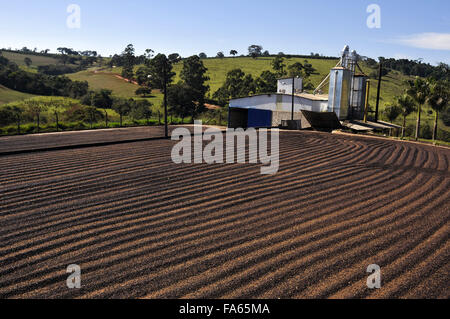 Sèche-linge et résidus de café dans la campagne Banque D'Images