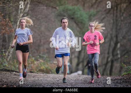 Dans l'exercice de coureurs des bois Thorndon Park dans l'Essex, Angleterre, Royaume-Uni. Banque D'Images