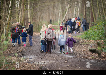 Famille marche à travers bois Thorndon Park dans l'Essex, Angleterre, Royaume-Uni. Banque D'Images
