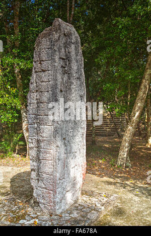 La stèle 75, site archéologique maya Calakmul, Campeche, Mexique Banque D'Images