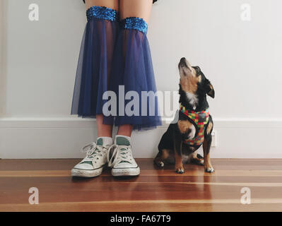 La section basse de jeune fille dans un costume de danse avec son chien Chihuahua Banque D'Images