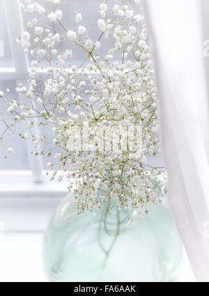 Gypsophila fleurs dans un vase en verre sur le rebord de fenêtre Banque D'Images