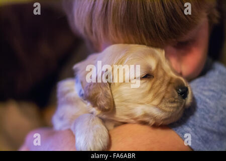 Boy hugging chiot golden retriever dog Banque D'Images