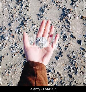 Woman's hand holding un coquillage sur la plage, à Constanta, Roumanie Banque D'Images