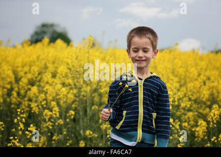 Smiling boy holding yellow flower in rapeseed field Banque D'Images