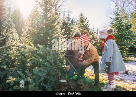 Jeune garçon coupe de Noël avec père et sa soeur Banque D'Images