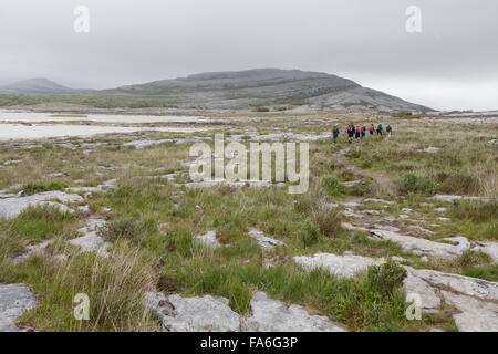 Les gens qui marchent sur la boucle de Mullaghmore réussir un turlough - le Burren en Irlande Banque D'Images