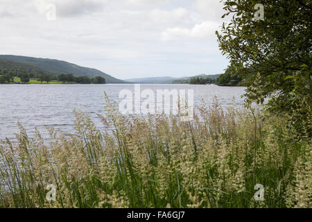 Dans l'eau de Coniston English Lake district de Cumbria a été utilisé pour de nombreuses tentatives pour briser le record mondial de vitesse sur l'eau. Banque D'Images