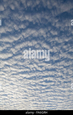 La formation de nuages Altocumulus undulatus est connu comme un ciel de maquereau Banque D'Images