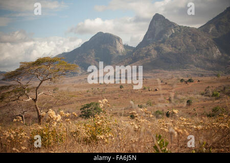 Le paysage autour de Dodoma, Tanzanie est marché par les monts Ukaguru et acacias. Banque D'Images