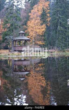 Belvédère sur la rive du lac - chemin de randonnée - tourbes Kladska -Glatzener Moor Banque D'Images