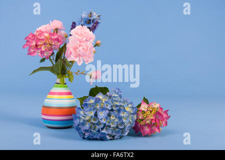 Hortensias rose et bleu et d'autres fleurs dans vase sur fond coloré Banque D'Images