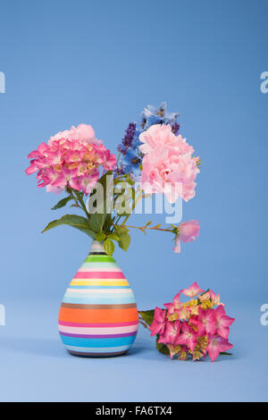 Hortensias rose et bleu et d'autres fleurs sur fond coloré Banque D'Images