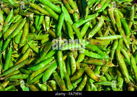 Les pois verts dans le marché des légumes indiens. Banque D'Images