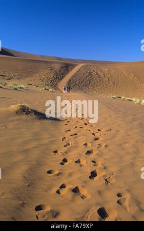La Namibie, Namib-Naukluft National park, Sossusvlei, sentier à Deadvlei // Namibie, Namib-Naukluft National park, Sossusvlei, chemi Banque D'Images
