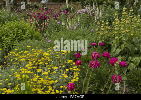 Lits fleuris magnifiquement et frontières à Mottisfont Abbey à la mi-juin avec les pivoines, Achillea, sage turc, etc. ; Hampshire Banque D'Images