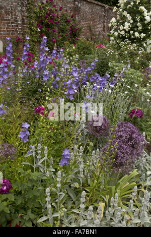 Lits fleuris magnifiquement et frontières à Mottisfont Abbey Rose Garden, fortifiée avec Allium cristophii Campanula et à la mi-juin ; H Banque D'Images