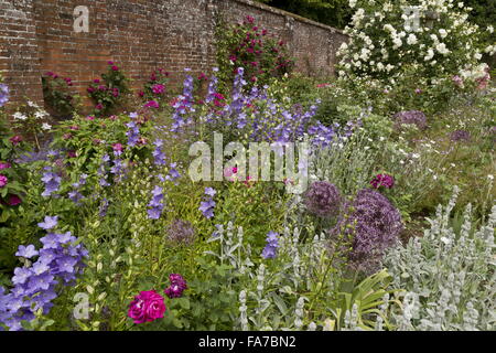 Lits fleuris magnifiquement et frontières à Mottisfont Abbey Rose Garden, fortifiée avec Allium cristophii Campanula et à la mi-juin ; H Banque D'Images