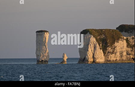 Les falaises de craie et de piles à Old Harry Rocks, Point d'avant-pays, Studland, Dorset Banque D'Images