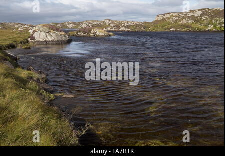 Un nettoyage à distance d'une végétation non polluée, un loch loch acide Mhill Aird, l'île de Coll, Hébrides intérieures, de l'Écosse. Banque D'Images