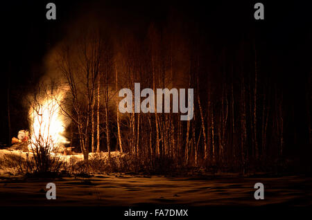 Feu de nuit en hiver massif bouleau forest Banque D'Images