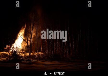 Feu de nuit en hiver massif bouleau forest Banque D'Images