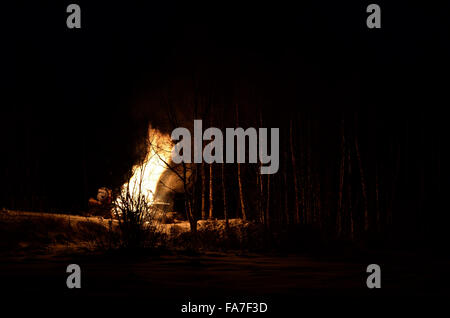 Feu de nuit en hiver massif bouleau forest Banque D'Images
