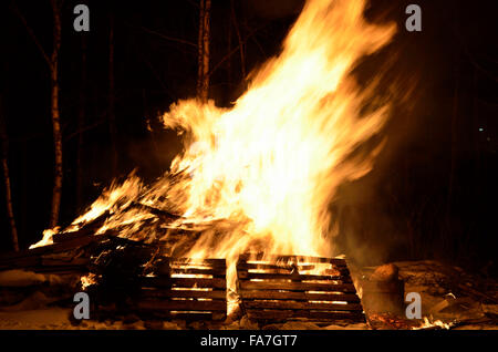 Feu de nuit en hiver massif bouleau forest Banque D'Images