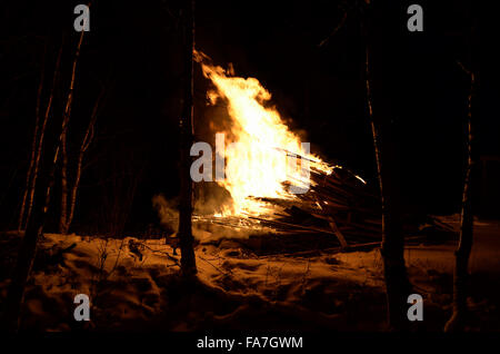 Feu de nuit en hiver massif bouleau forest Banque D'Images