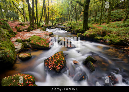 Au début de l'automne le long des rives de la rivière Fowey à quelques Banque D'Images