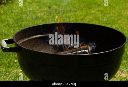 Au feu de bois électrique Banque D'Images